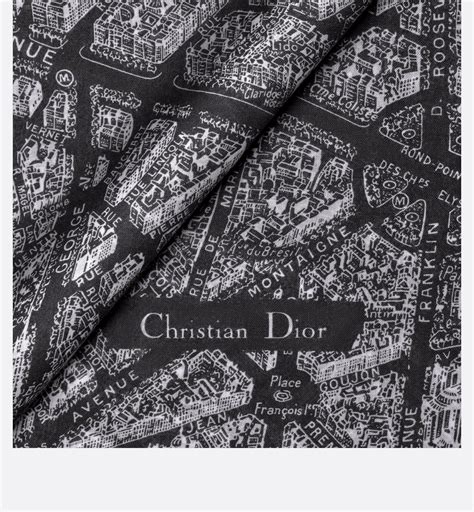 dior plan de paris sale.